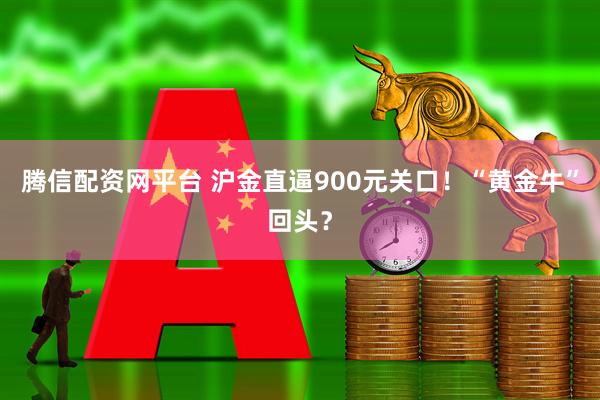 腾信配资网平台 沪金直逼900元关口！“黄金牛”回头？