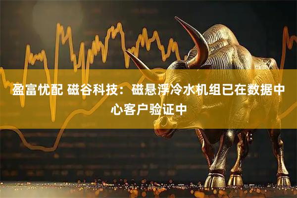 盈富忧配 磁谷科技：磁悬浮冷水机组已在数据中心客户验证中